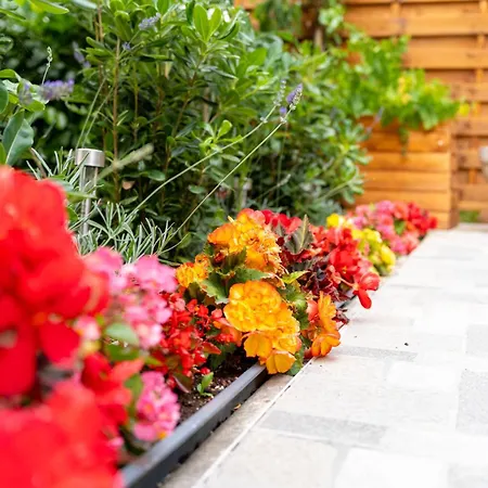Apartment Colosseum Garden