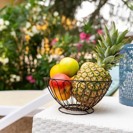 Colosseum Garden * Pula