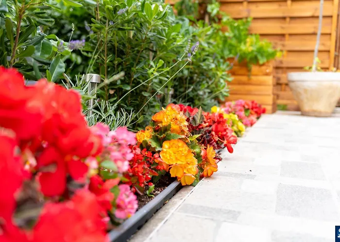 Apartamento Colosseum Garden